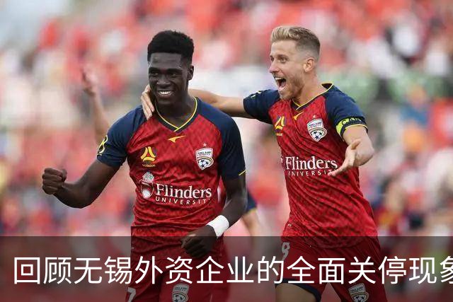 回顾无锡外资企业的全面关停现象